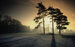 Winter sunrise